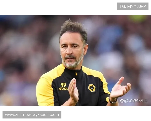 水晶宫主帅盯上狼队弱侧或成为重点