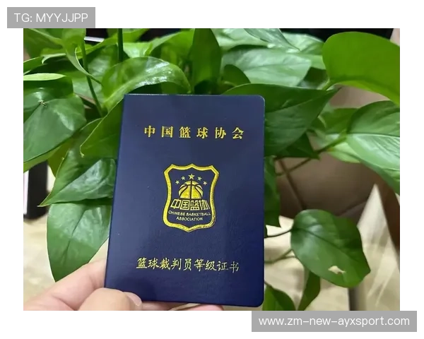 国际篮球联赛裁判视频教育资源国际共享平台第8期上线,国际篮球裁判员名单